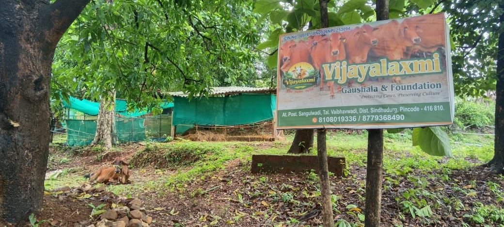 The Vijayalaxmi Gaushala & Foundation entrance signboard at Sangulwadi