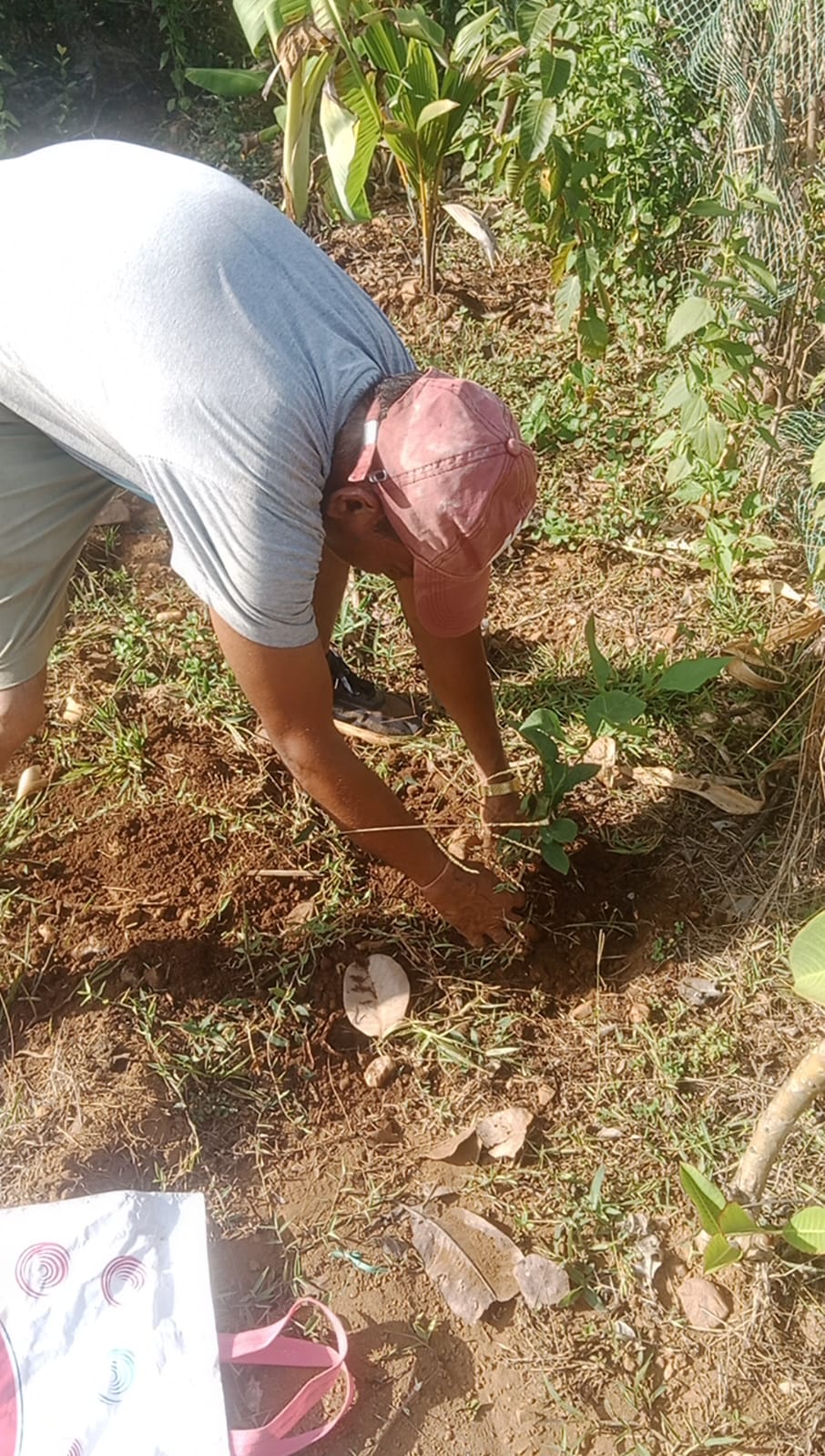 A volunteer planting a tree sapling on the Foundation's land
